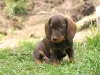 Mein Sohn Diego