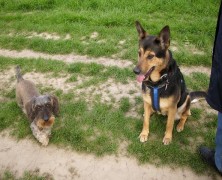 neue Freunde…