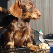 Mein Sohn Diego..