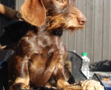 Mein Sohn Diego..