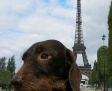 Paris 2011