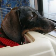 …auf nach Soest…