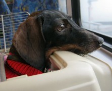 …auf nach Soest…